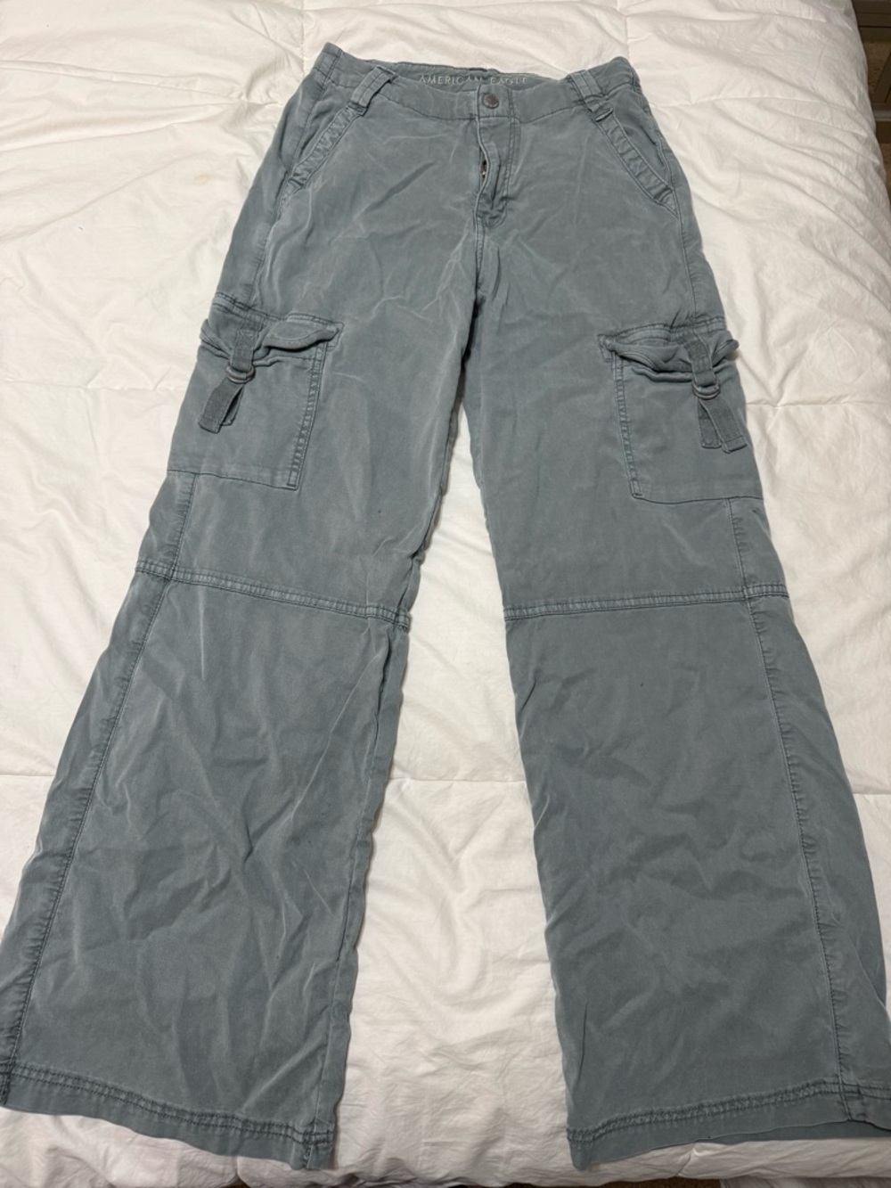 American Eagle Outfitters Viral Green Wash Cargo Stretchy Pants/Jeans
